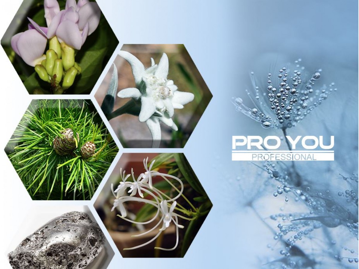 ОСОБЕННОСТИ И РЕДКИЕ КОМПОНЕНТЫ В СОСТАВЕ КОСМЕЦЕВТИКИ PRO YOU